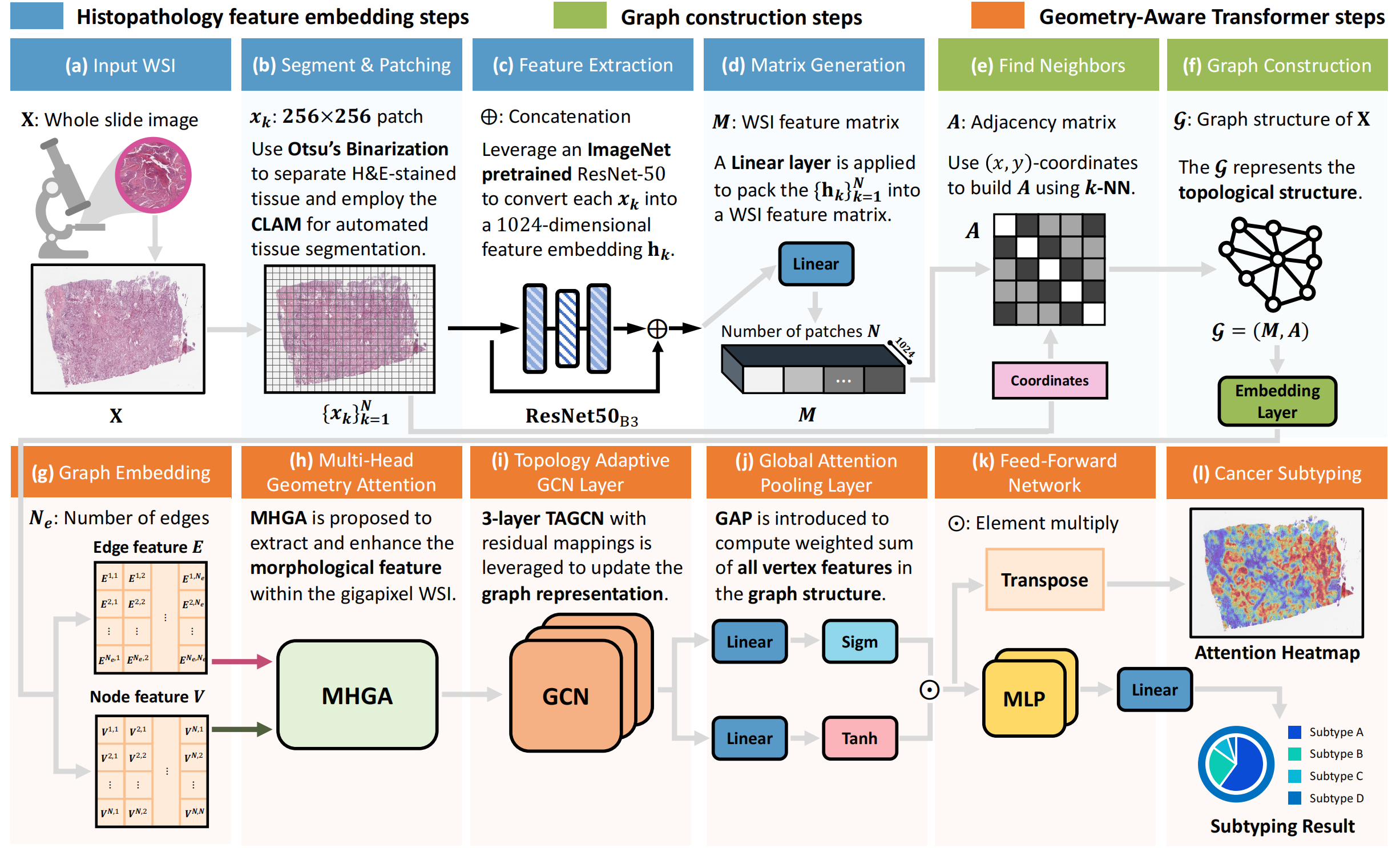 Unleashing the Infinity Power of Geometry:A Novel Geometry-Aware Transformer (GOAT) for Whole Slide Histopathology Image Analysis