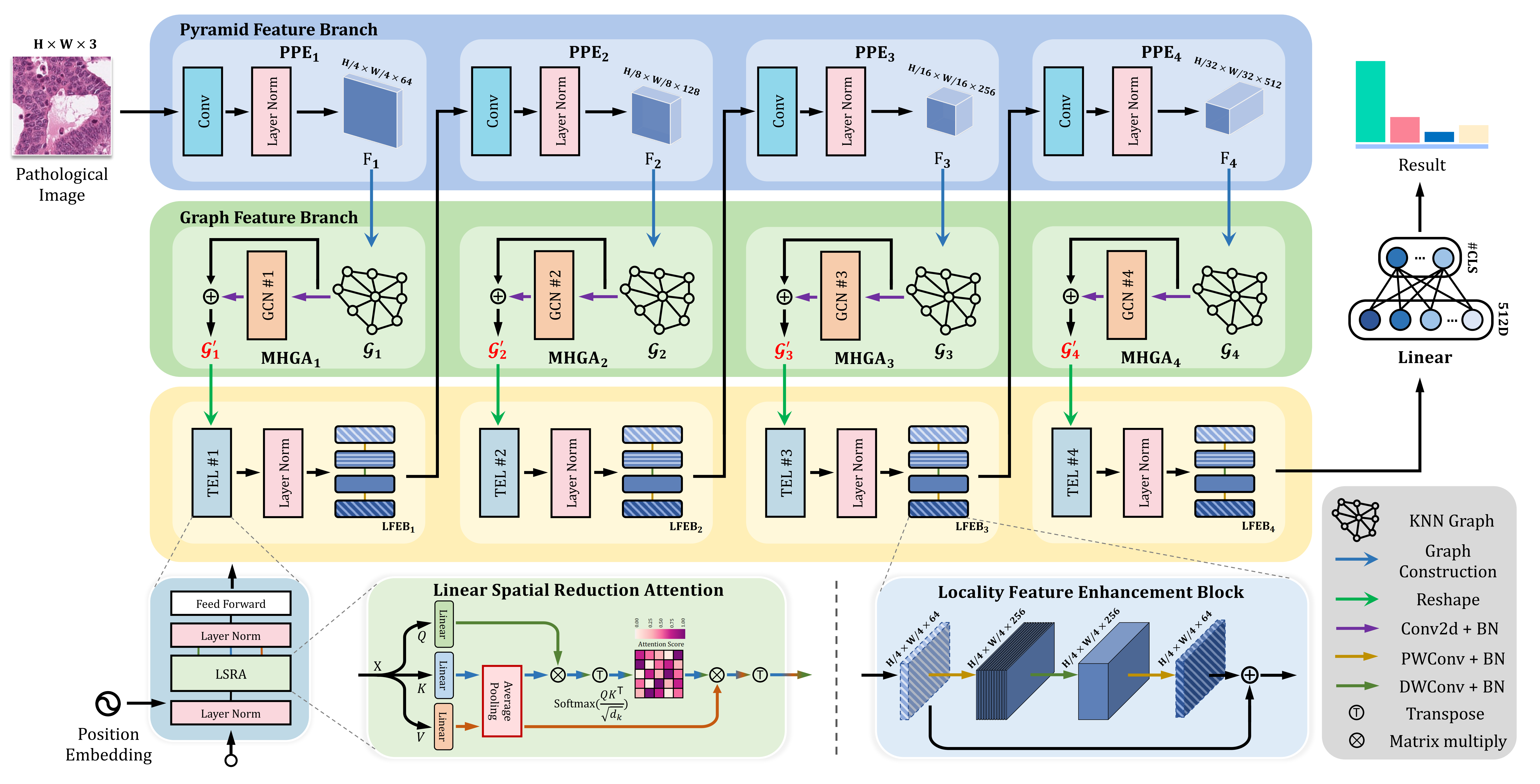 Exploiting Geometric Features via Hierarchical Graph Pyramid Transformer for Cancer Diagnosis Using Histopathological Images