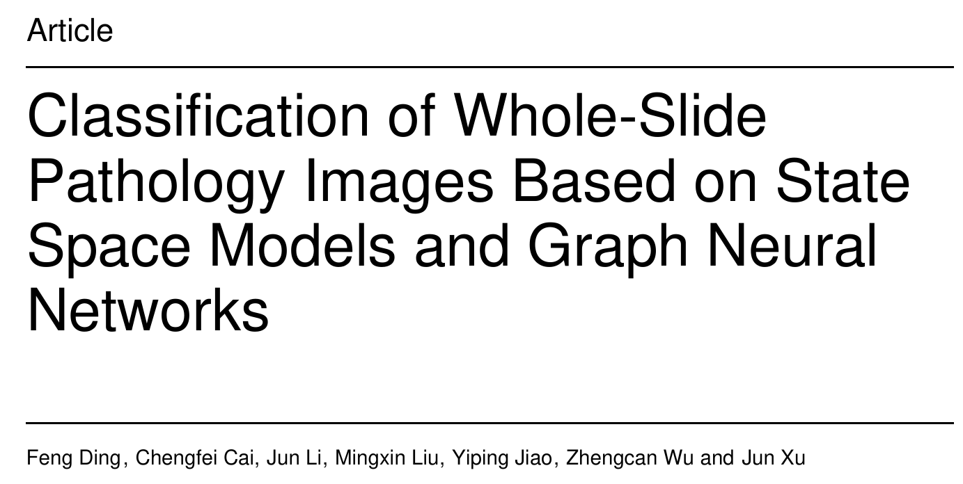 Classification of Whole-Slide Pathology Images Based on State Space Models and Graph Neural Networks
