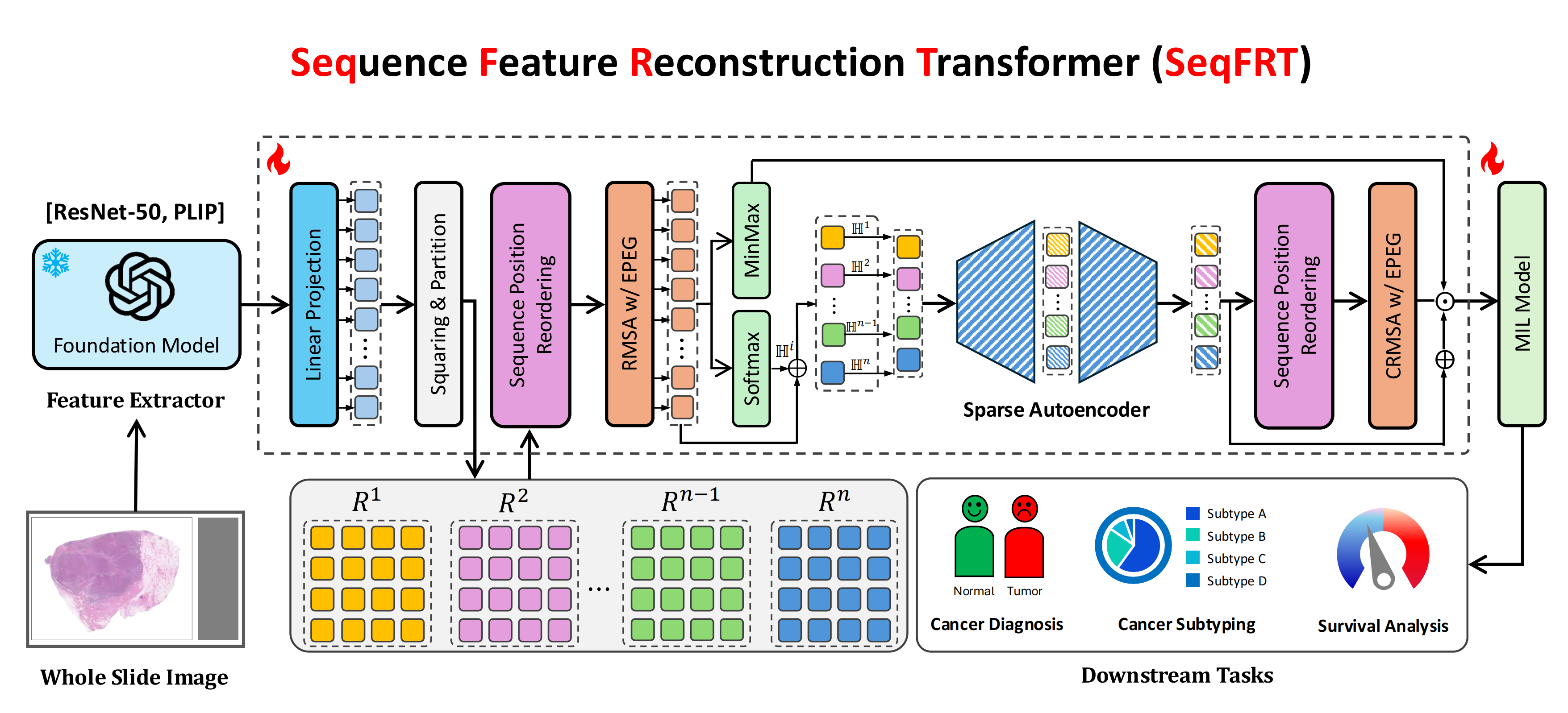 SeqFRT: Towards Effective Adaption of Foundation Model via Sequence Feature Reconstruction in Computational Pathology
