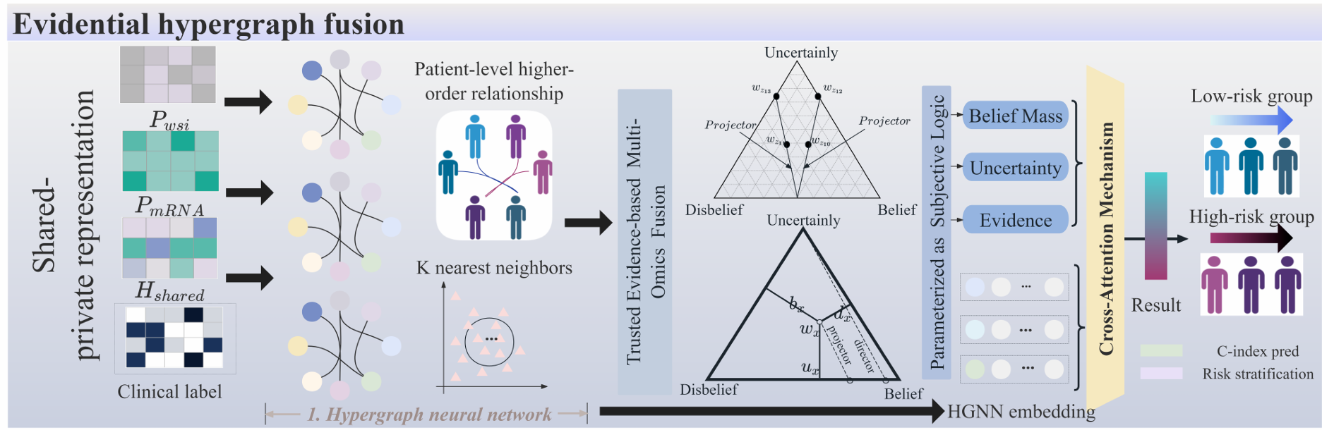 Noise-Aware Importance-Uncertainty Disentangled Multimodal Learning for Robust Cancer Survival Prediction